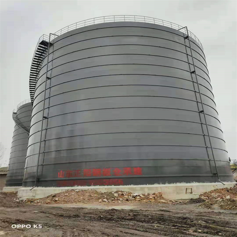 新宁3万吨大型钢板库